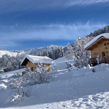 Chalets Savoie Les Chalets D'Heidi Notre-Dame-de-Bellecombe Dış mekan fotoğraf
