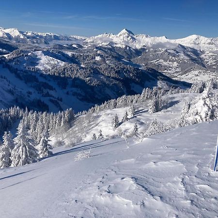 Chalets Savoie Les Chalets D'Heidi Notre-Dame-de-Bellecombe Dış mekan fotoğraf
