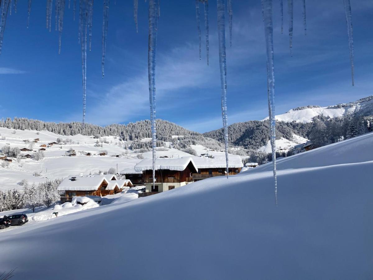 Chalets Savoie Les Chalets D'Heidi Notre-Dame-de-Bellecombe Dış mekan fotoğraf
