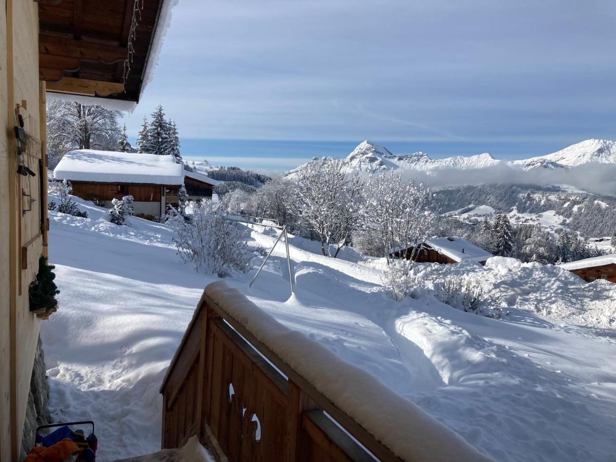 Chalets Savoie Les Chalets D'Heidi Notre-Dame-de-Bellecombe Dış mekan fotoğraf