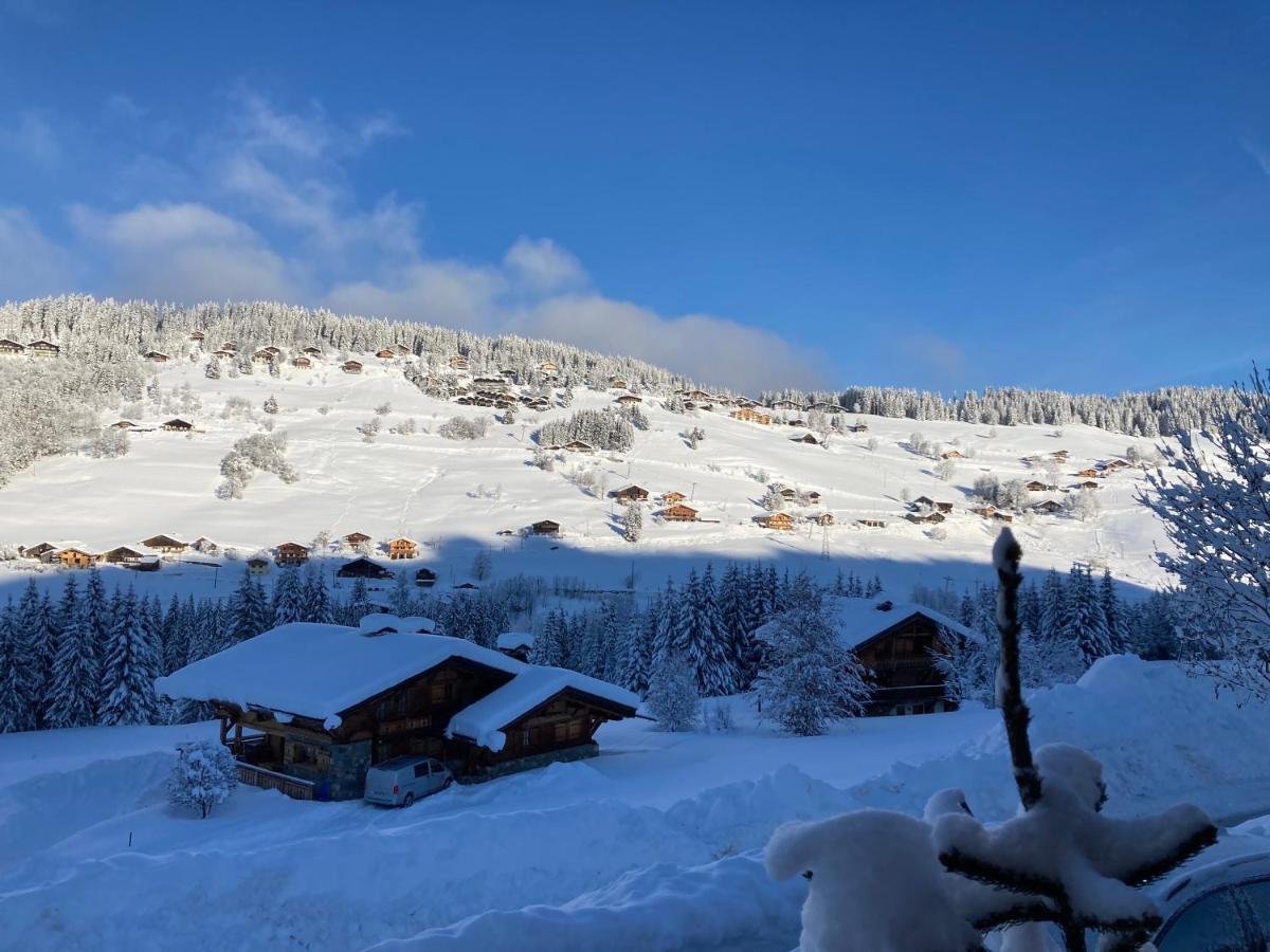 Chalets Savoie Les Chalets D'Heidi Notre-Dame-de-Bellecombe Dış mekan fotoğraf