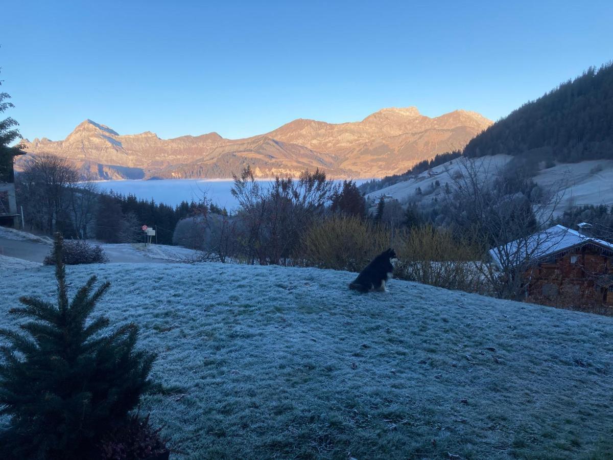 Chalets Savoie Les Chalets D'Heidi Notre-Dame-de-Bellecombe Dış mekan fotoğraf