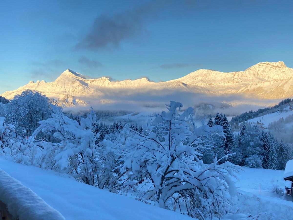 Chalets Savoie Les Chalets D'Heidi Notre-Dame-de-Bellecombe Dış mekan fotoğraf