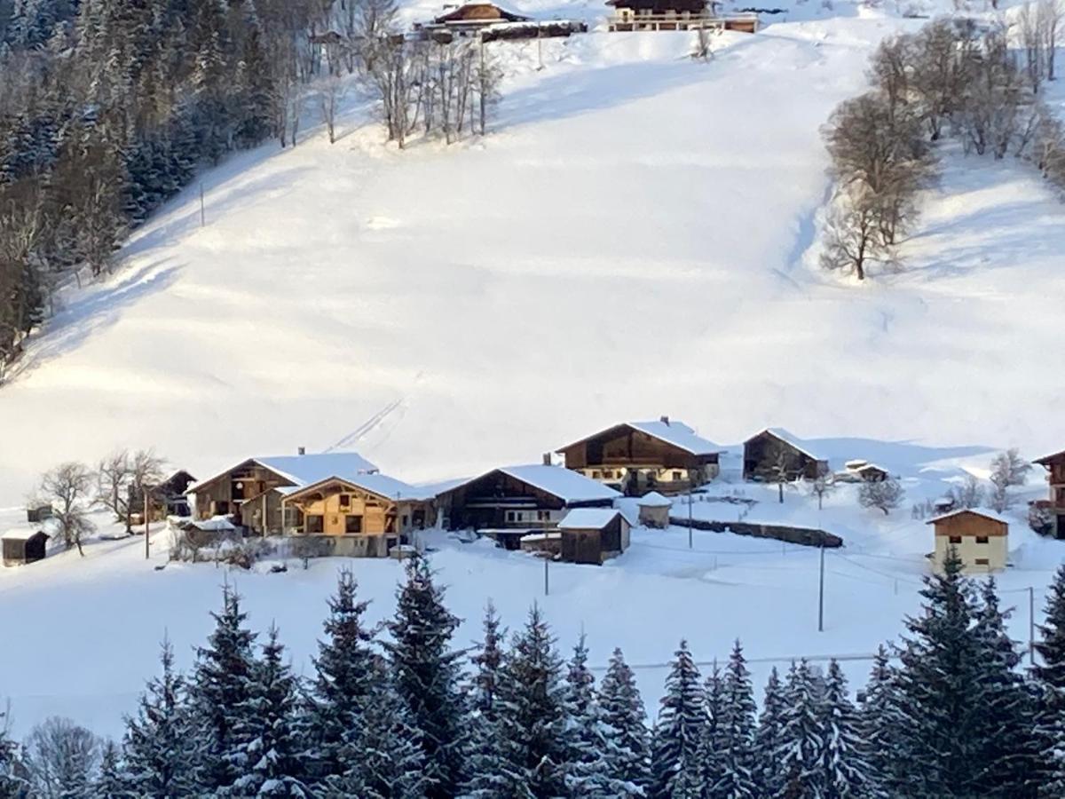 Chalets Savoie Les Chalets D'Heidi Notre-Dame-de-Bellecombe Dış mekan fotoğraf
