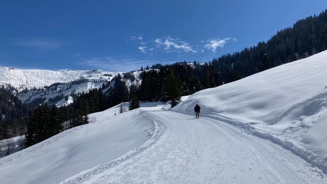 Chalets Savoie Les Chalets D'Heidi Notre-Dame-de-Bellecombe Dış mekan fotoğraf