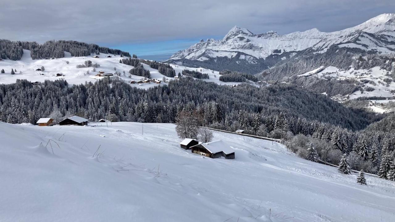 Chalets Savoie Les Chalets D'Heidi Notre-Dame-de-Bellecombe Dış mekan fotoğraf