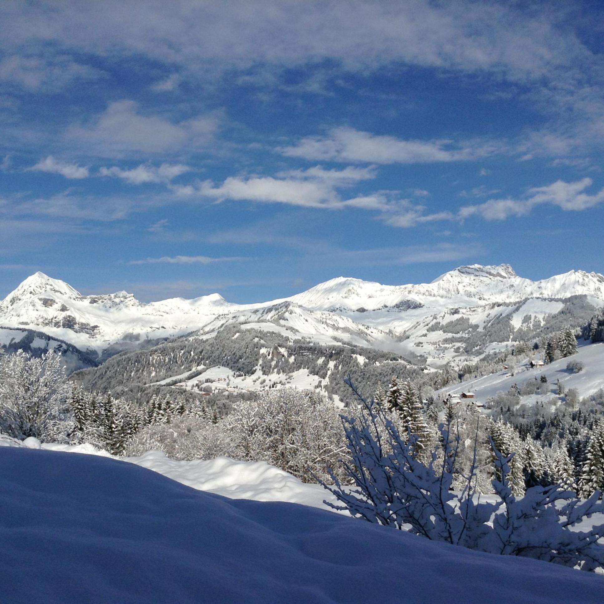 Chalets Savoie Les Chalets D'Heidi Notre-Dame-de-Bellecombe Dış mekan fotoğraf
