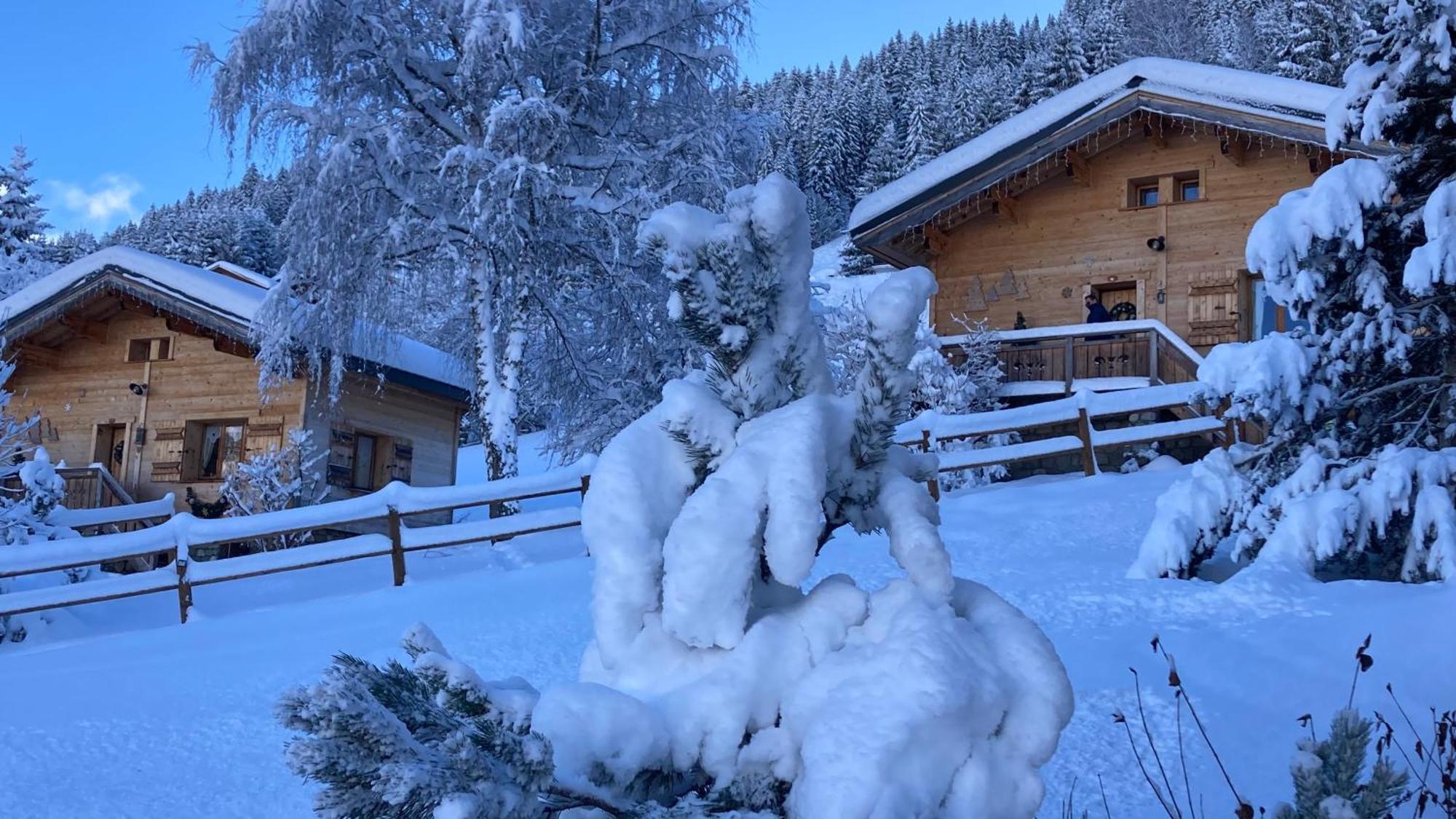 Chalets Savoie Les Chalets D'Heidi Notre-Dame-de-Bellecombe Dış mekan fotoğraf