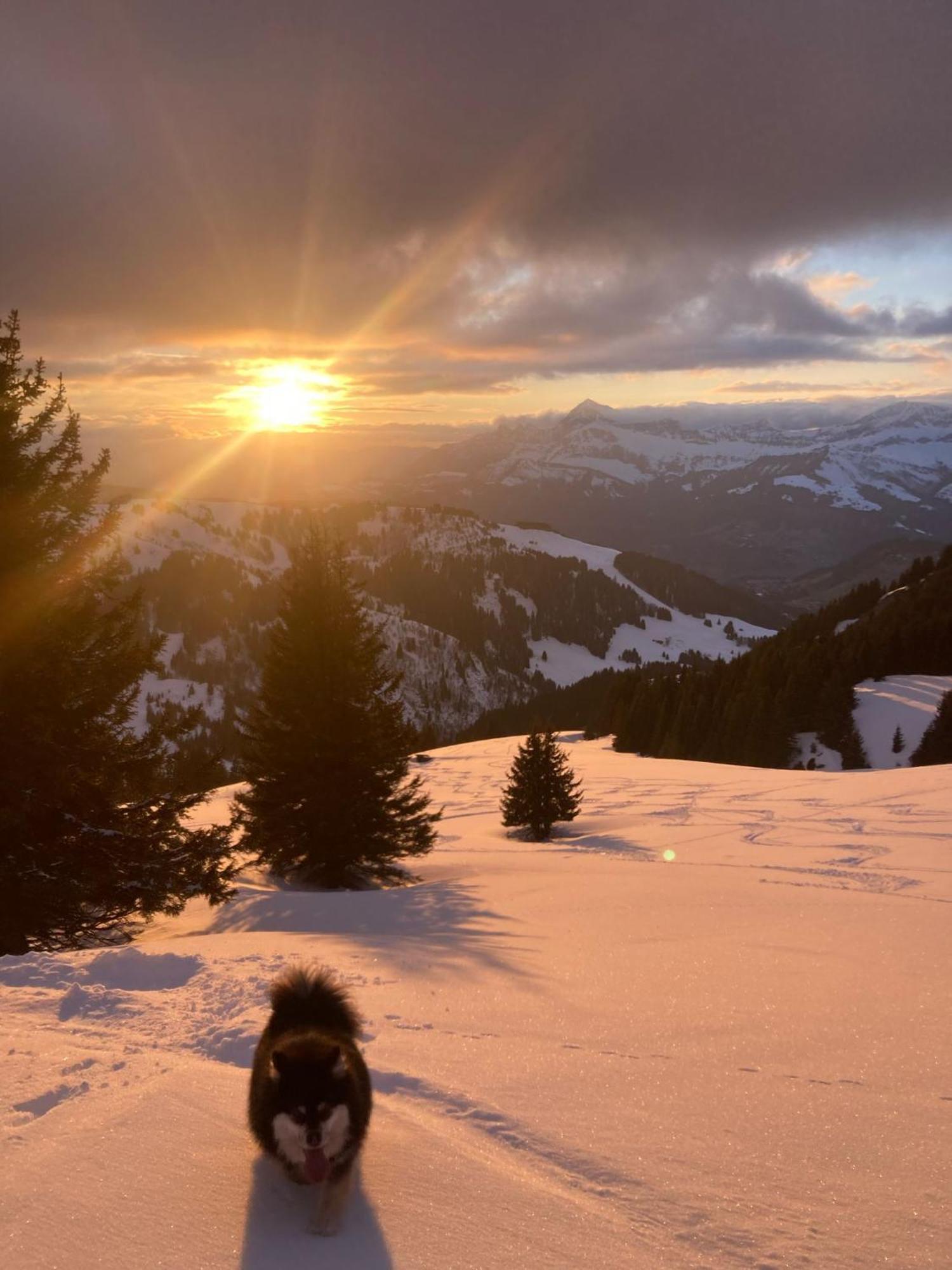 Chalets Savoie Les Chalets D'Heidi Notre-Dame-de-Bellecombe Dış mekan fotoğraf
