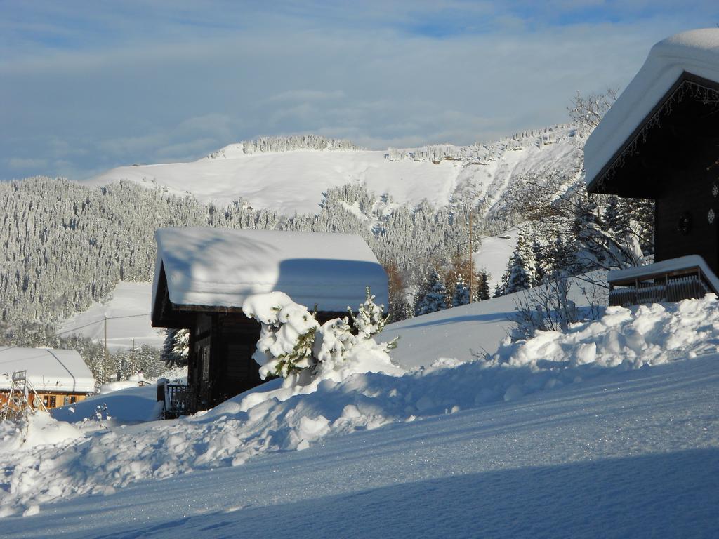 Chalets Savoie Les Chalets D'Heidi Notre-Dame-de-Bellecombe Dış mekan fotoğraf