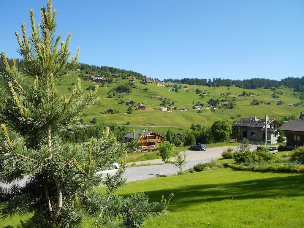 Chalets Savoie Les Chalets D'Heidi Notre-Dame-de-Bellecombe Dış mekan fotoğraf
