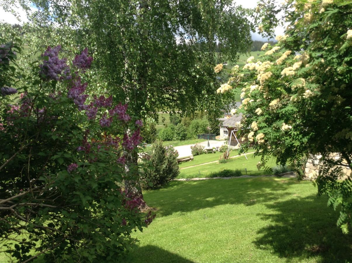 Chalets Savoie Les Chalets D'Heidi Notre-Dame-de-Bellecombe Dış mekan fotoğraf