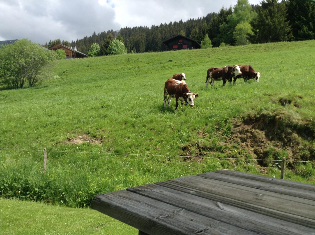 Chalets Savoie Les Chalets D'Heidi Notre-Dame-de-Bellecombe Dış mekan fotoğraf