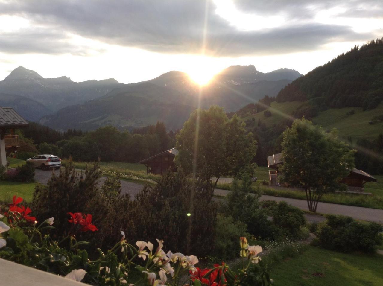 Chalets Savoie Les Chalets D'Heidi Notre-Dame-de-Bellecombe Dış mekan fotoğraf
