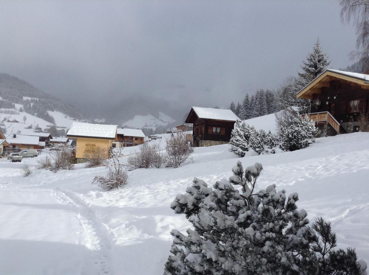 Chalets Savoie Les Chalets D'Heidi Notre-Dame-de-Bellecombe Dış mekan fotoğraf