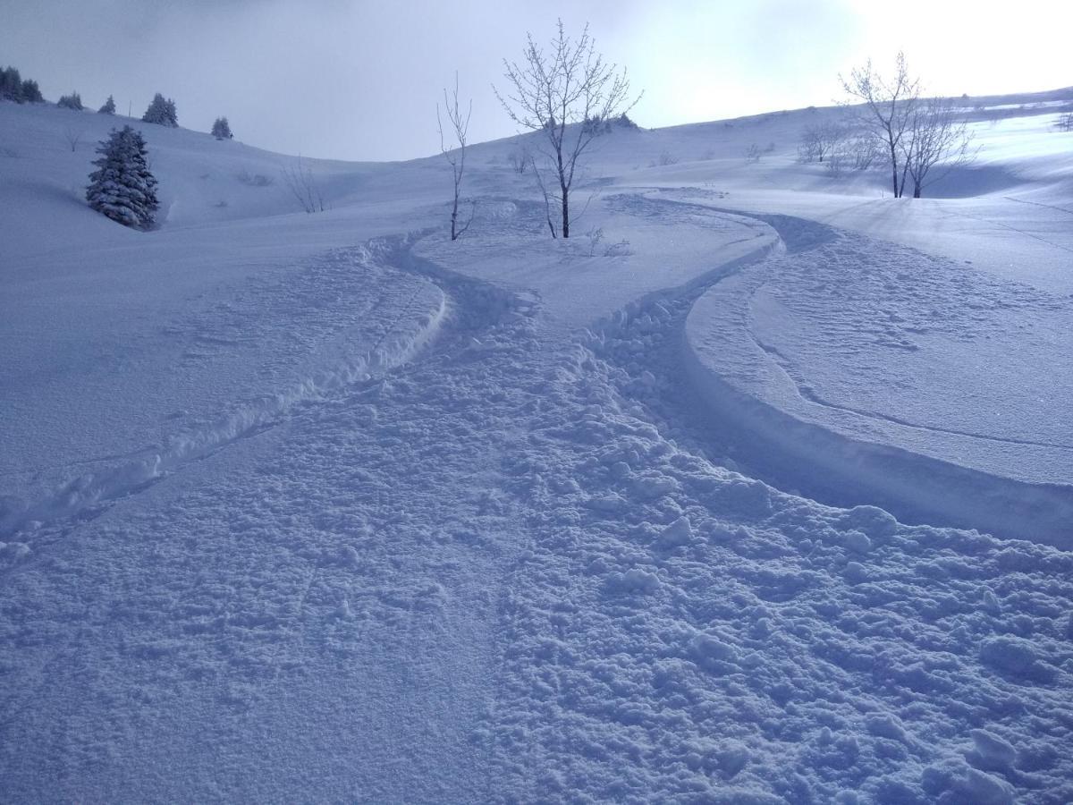 Chalets Savoie Les Chalets D'Heidi Notre-Dame-de-Bellecombe Dış mekan fotoğraf